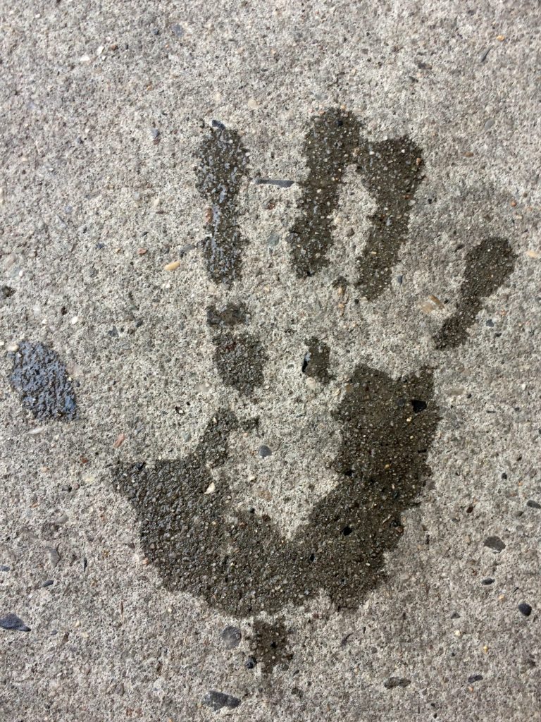 Hands on Suggestions for Working with Trauma