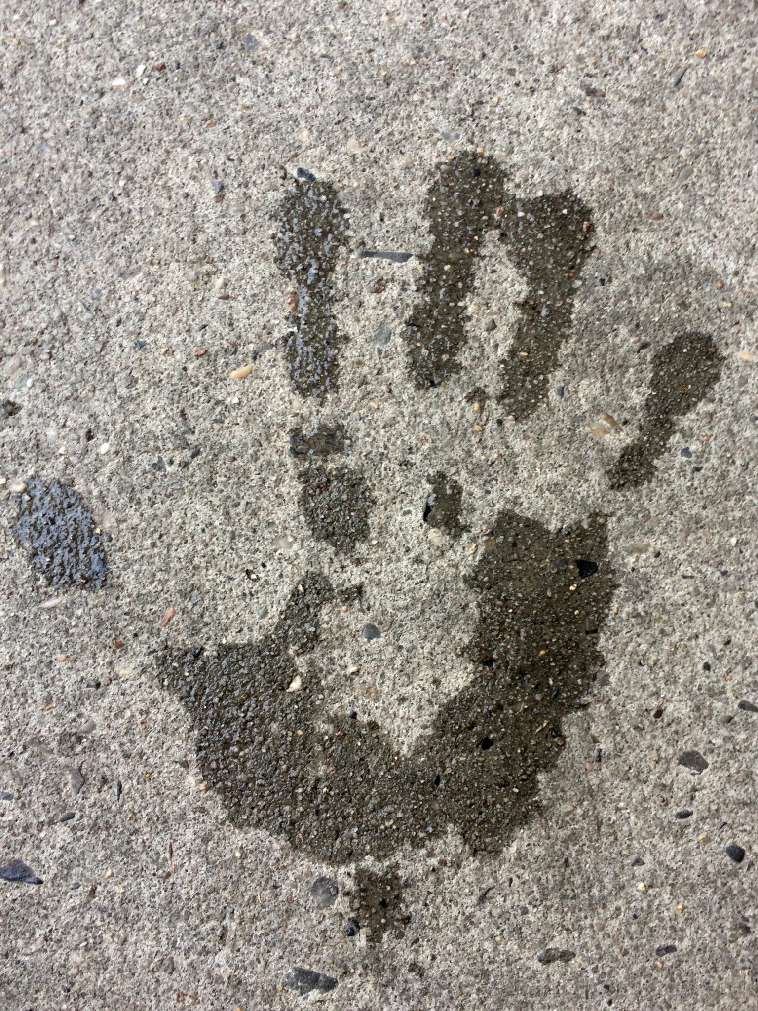 hand print on pavement