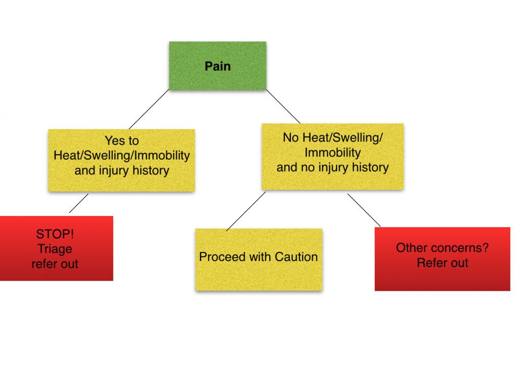 Massage Therapy and Pain