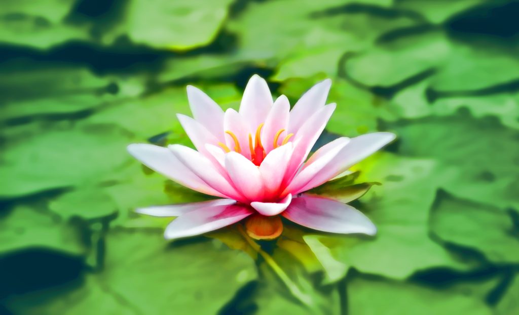 Yoga Therapy in a Clinical Setting